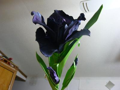 more black iris's - Cake by gail