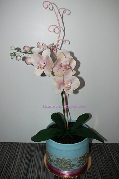 orchid in flowerpot - Cake by katarina139