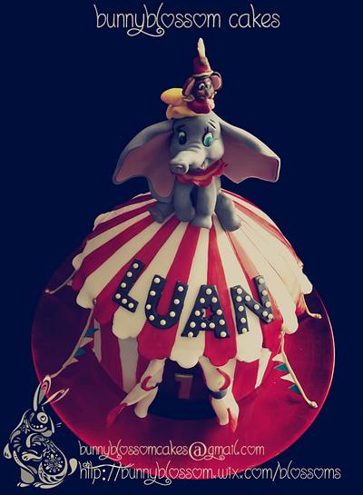 Circus cake and smash cake - Cake by BunnyBlossom