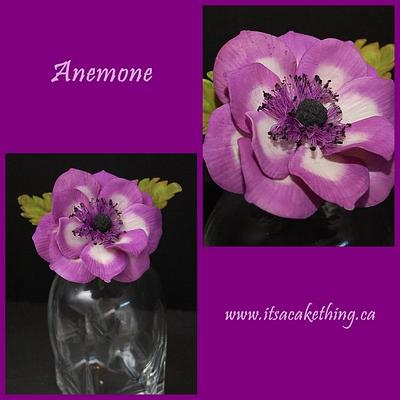 My First Anemone Flower - Cake by It's a Cake Thing 