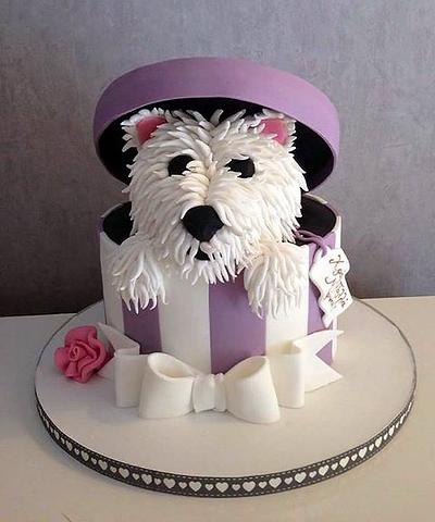Puppy in a box! - Cake by Alice Mordo