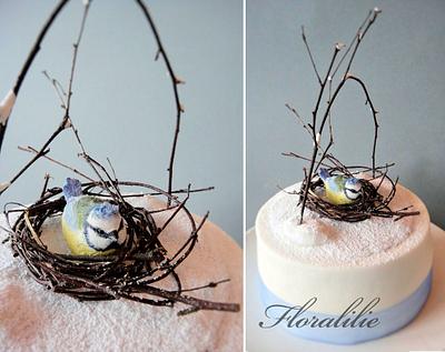 Little Blue Tit Cake - Cake by Floralilie