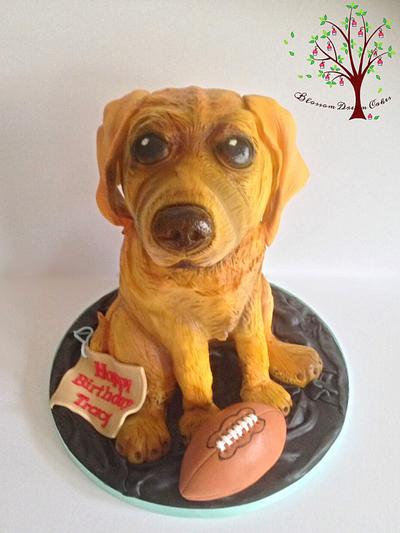 Rugby the Puppy - Cake by Blossom Dream Cakes - Angela Morris