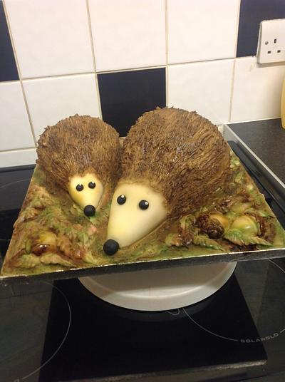 Mother and baby hedgehogs - Cake by Emma constant