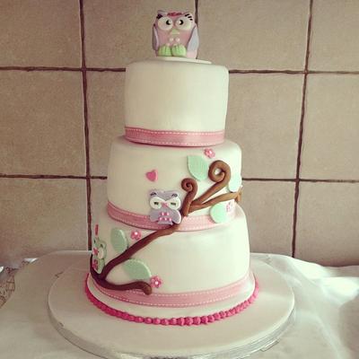 Girls Baby shower Owl cake - Cake by funkyfabcakes
