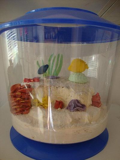 Fish Tank - Cake by Rosanna Hill
