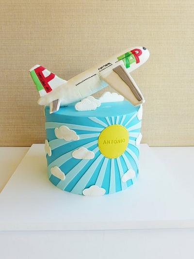 TAP airplane - Cake by Margarida Abecassis