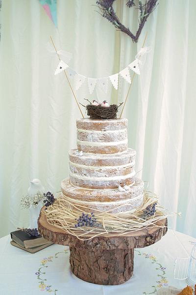 Naked Rustic Cake - Cake by allaboutcake