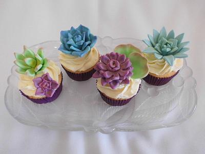 Succulent Cupcakes - Cake by Michelle