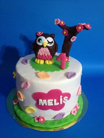 The Owl Cake - Cake by PastaLaVistaCakes