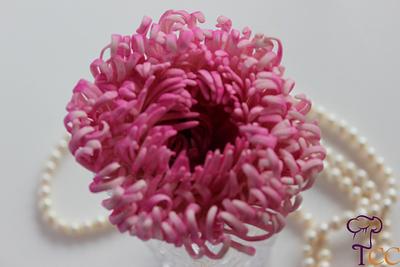 Spider Chrysanthemum - Cake by Siobhan Buckley