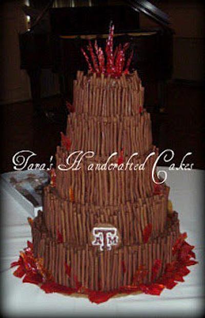 Bonfire Cake - Cake by Taras Handcrafted Cakes