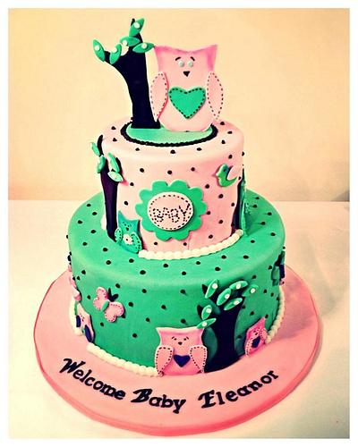 Owl Cake - Cake by Fantasy Cakes