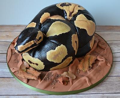 Royal Python Snake - Cake by AMAE - The Cake Boutique