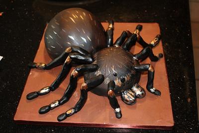 Tarantula cake - Cake by Helen Campbell