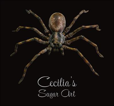 Spider Cake Topper - Cake by Cecilia
