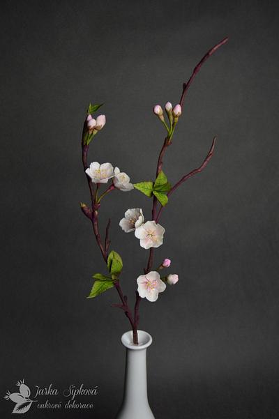 Cherry Blossom - Cake by JarkaSipkova