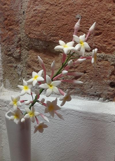 My jasmine in bloom - Cake by Piro Maria Cristina