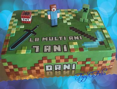 Minecraft for Dani - Cake by Felis Toporascu