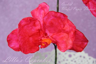 Wafer paper Orchid Phalaenopsis - Cake by Lilla's Cupcakes