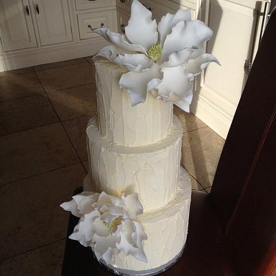 magnolia part 2 - Cake by jay