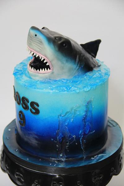Shark Cake - Cake by Cake Addict
