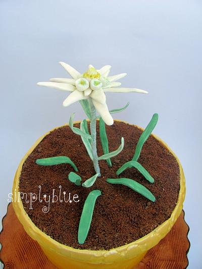 Edelweiss in pot cake - Cake by simplyblue
