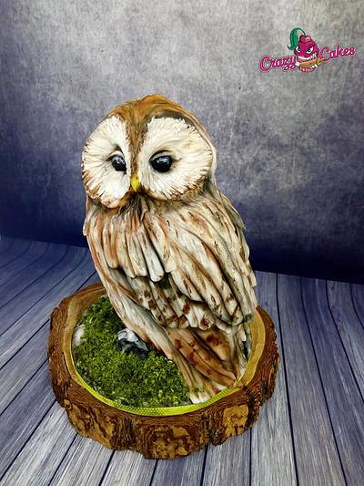 Owl cake - Cake by crazycakes