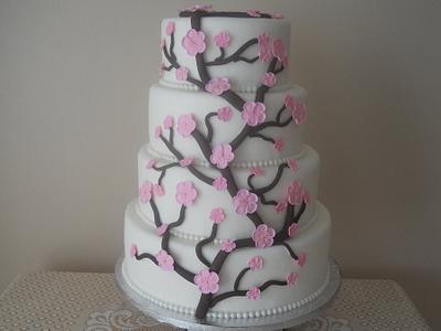 Cherry Blossom - Cake by Fazia