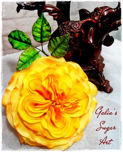 English rose - Cake by Galya's Art 
