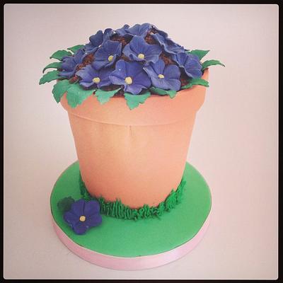 Flower pot cake - Cake by Victoria's Cakes