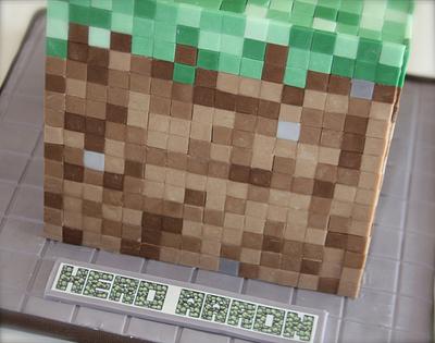 Minecraft Grass Block - Cake by Tracy Moran