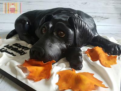 Black Labrador  - Cake by Kokoro Cakes by Kyoko Grussu