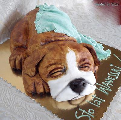 puppy :) - Cake by Eliza