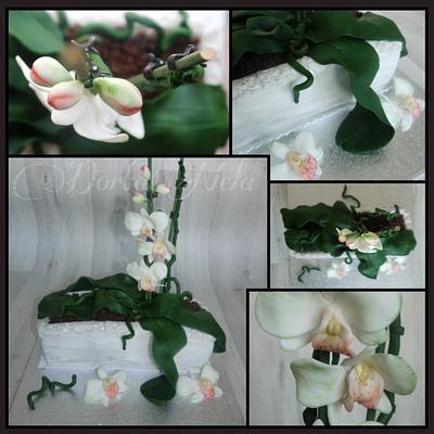 Orchids in a Pot - Cake by DortaNela