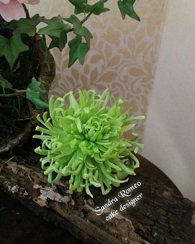 Crisantemo verde - Cake by Sandra Romeo