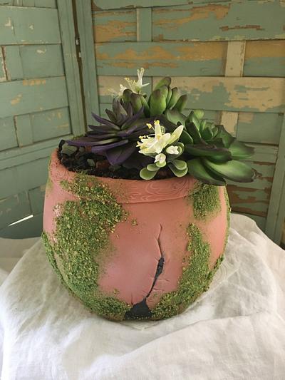 Terra Cotta with Succulents  - Cake by sherij