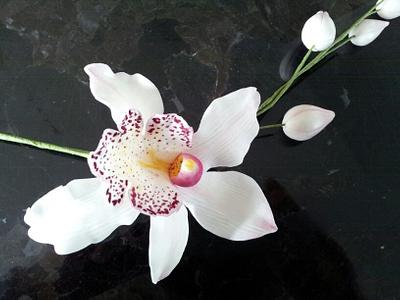 Gumpaste Orchid - Cake by Nori