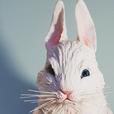 Easter rabbit  - Cake by Chernakova Yulia