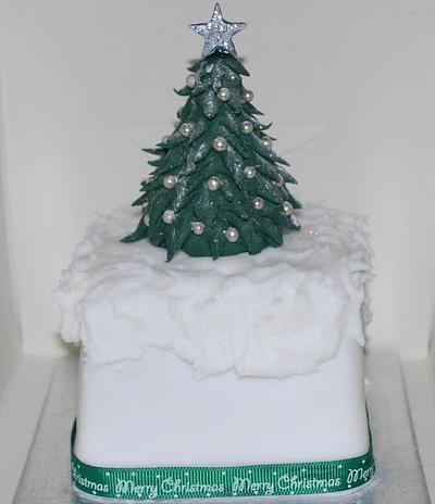 Mini Christmas cake - Cake by cakesbysilvia1