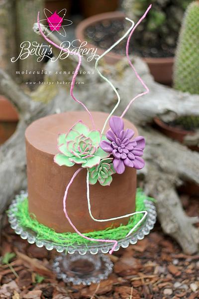 "Succulent Cake" - Cake by Betty's Bakery (molecular sensations)