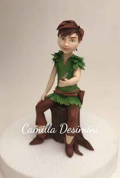 Peter Pan cake topper - Cake by  La Camilla 