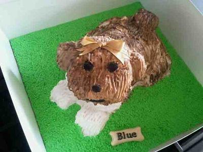 shi tzu dog - Cake by kerry