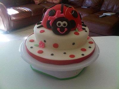 Lady Bug Smash Cake - Cake by Cindy