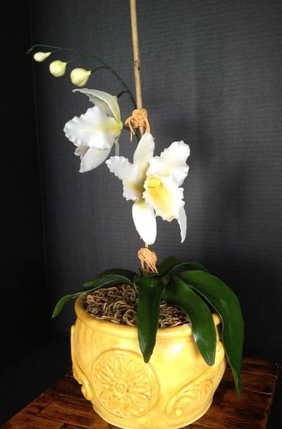 Catleya Orchid cake  - Cake by The Vagabond Baker