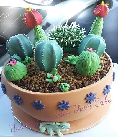 Succulent Cake - Cake by Kylie @ Nothing Sweeter Than Cake