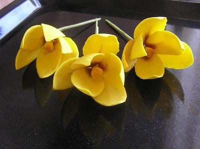 Yellow sugar tulips - Cake by Barbora Cakes