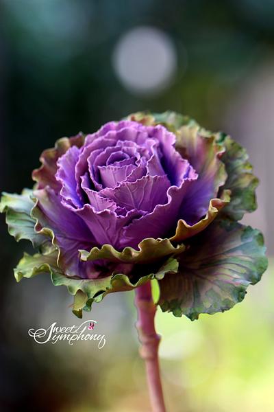 Cabbage rose - Cake by Sweet Symphony
