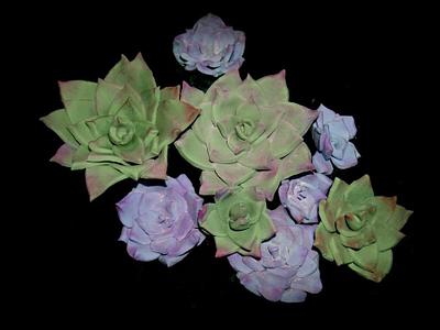 Succulents for wedding cake - Cake by BeckysSweets