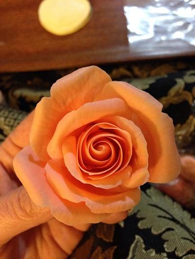 Graduated Colour Sugar rose - Cake by Lisa Templeton